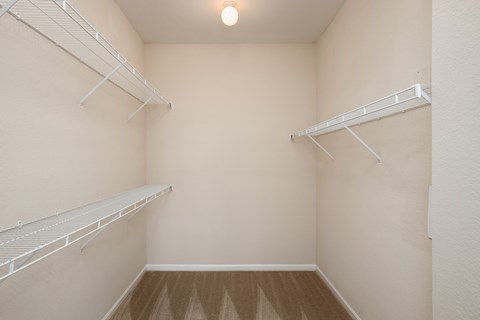 Carrington Place at Shoal Creek - Large walk-in closets
