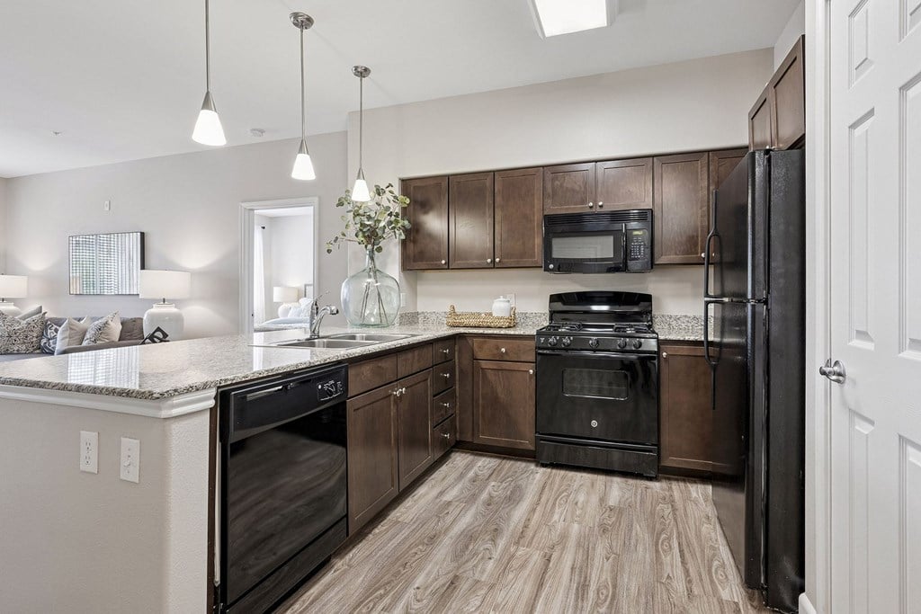 Chef's kitchen with black appliances - First and Main Apartments