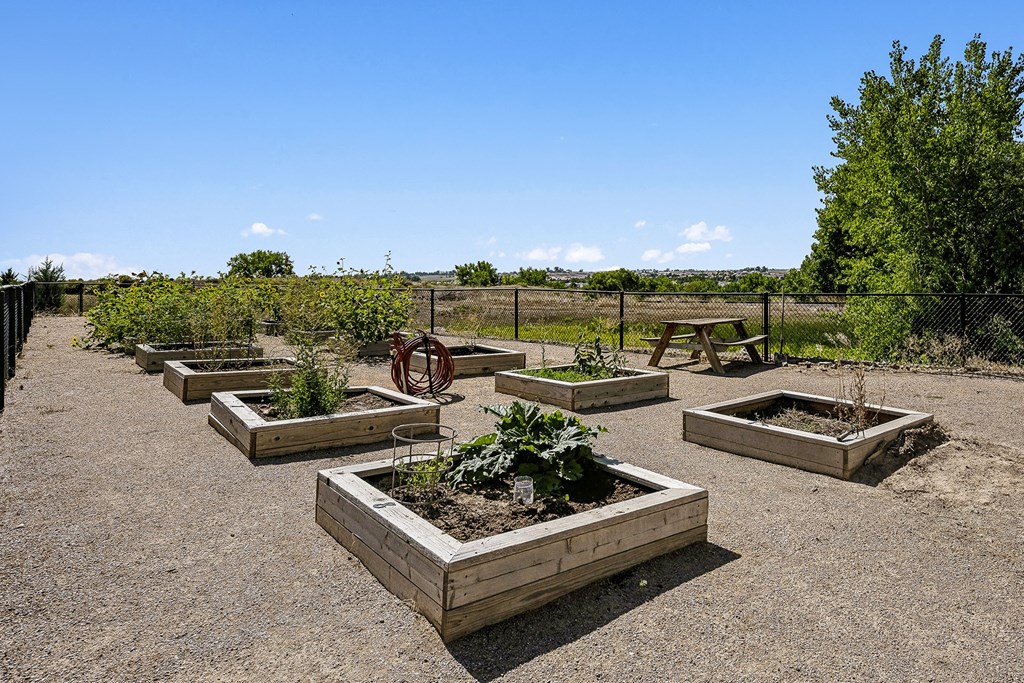 Community garden - Rise at 2534