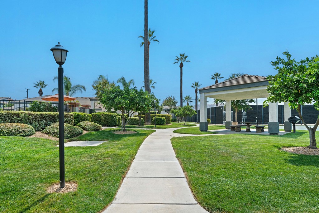 Barton Vineyard Apartments - Paved pathway