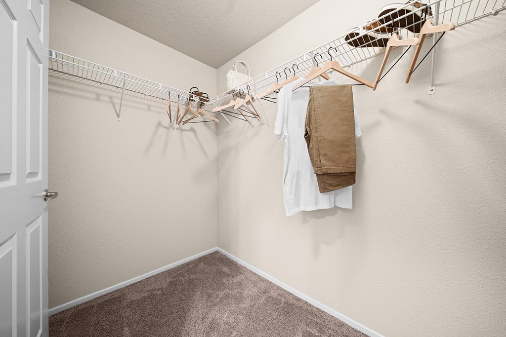 Hills of Valencia walk-in closet