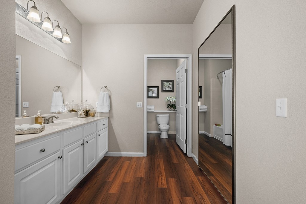 Well-lit bathrooms - Willow Spring Apartments