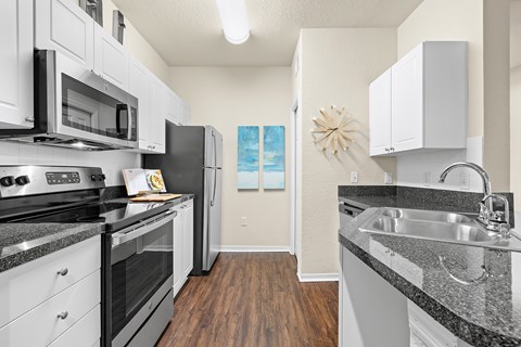 Stainless steel appliances - Asprey at Lake Brandon Apartments