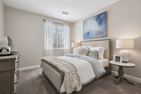 Carpeted bedrooms and living rooms - First and Main Apartments