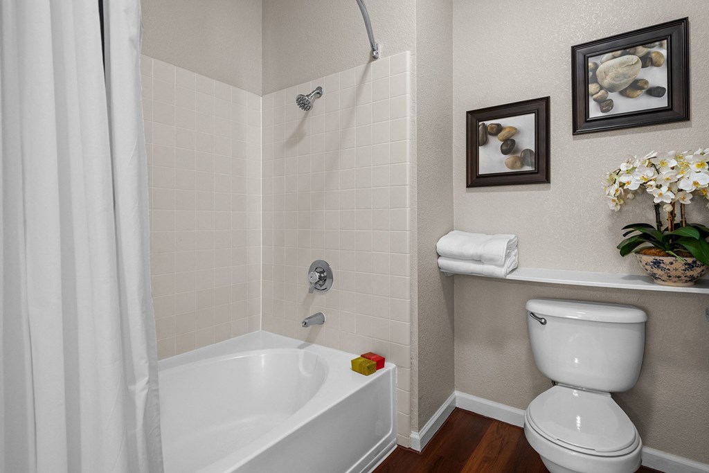 Oval tubs in select units - Willow Spring Apartments