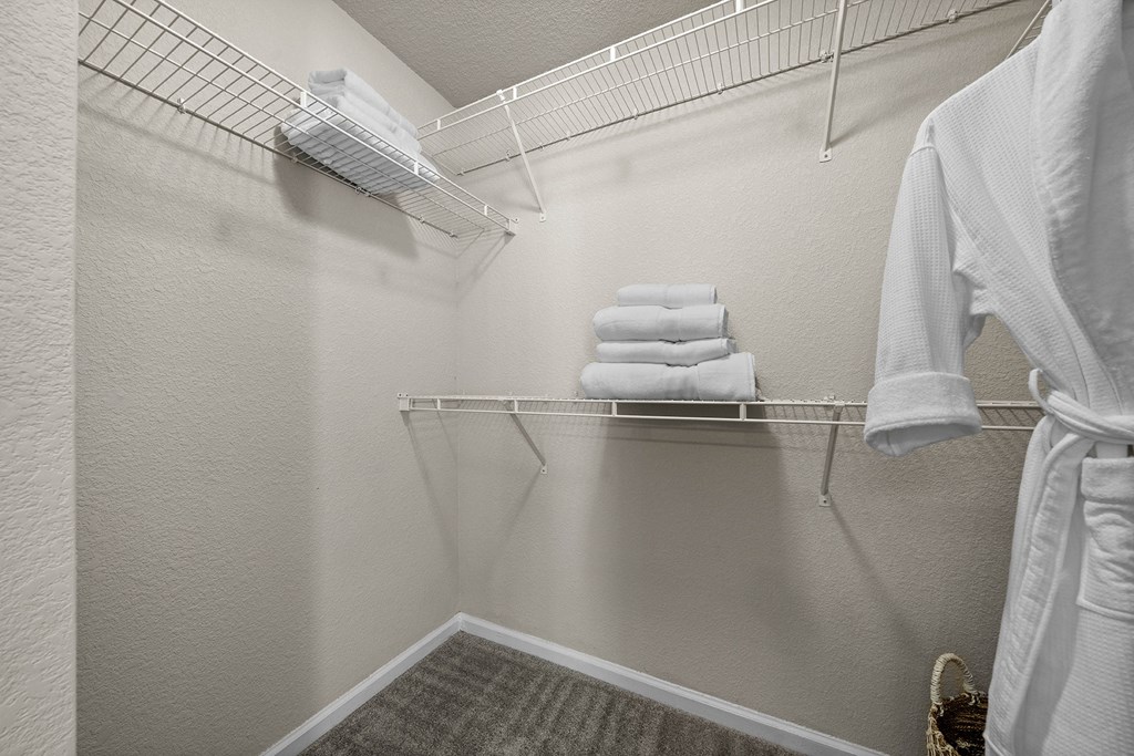 Spacious walk-in closets - Willow Spring Apartments