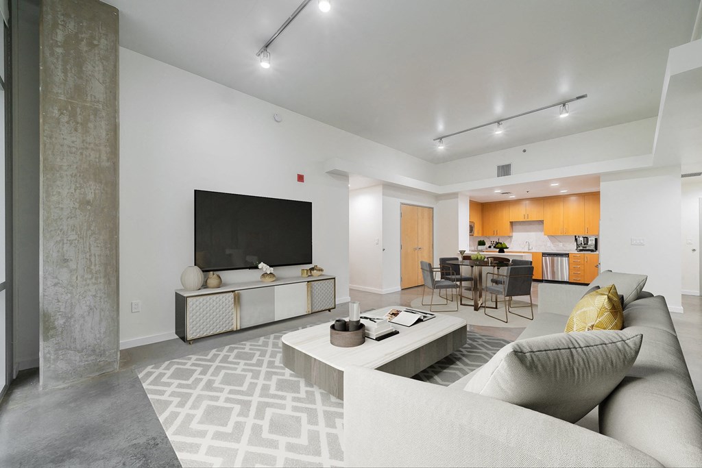 Track lighting in living rooms - Main 3 Downtown