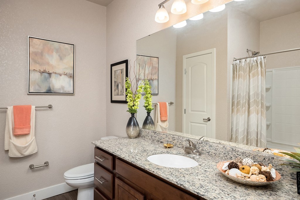 The Haven at Shoal Creek - Granit countertops in bathrooms and kitchens
