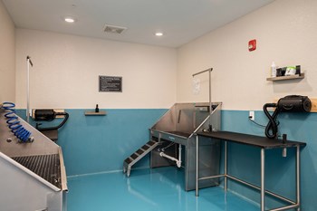 Element 25 pet grooming station - Photo Gallery 27