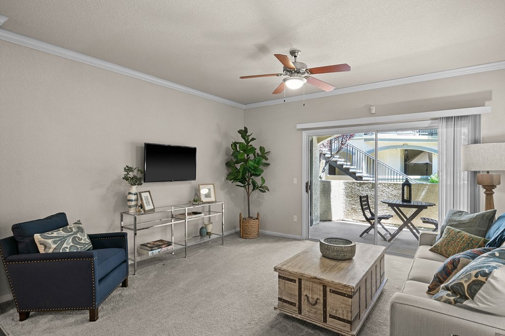 Spacious living rooms - Willow Spring Apartments
