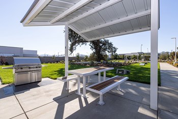 Picnic area with gas grill station - NOVA at Green Ranch - Photo Gallery 30