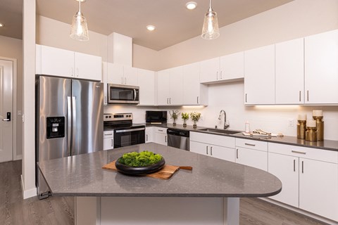 Stainless steel appliances - NOVA at Green Ranch