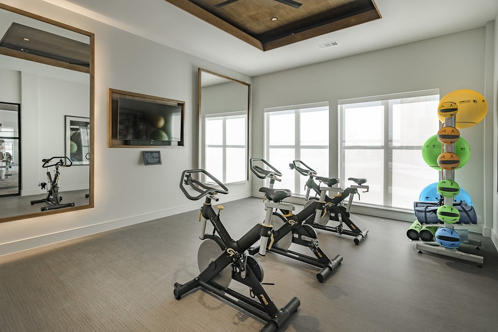 State-of-the-art fitness center - Debbie Lane Flats