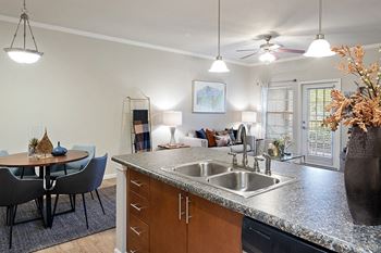 The Fairways at Corbin Park double stainless steel sink