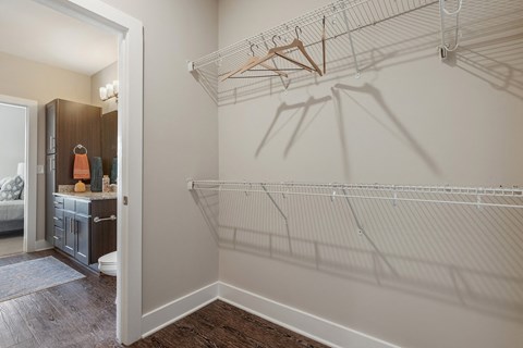Element 29 Apartments - Walk-in closets