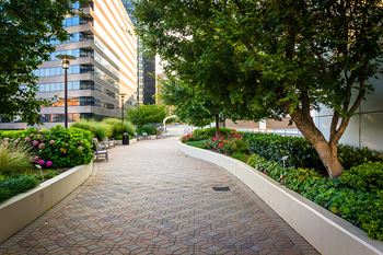 Stock image of Freedom Park