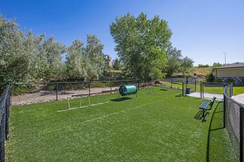 Pet park - Acadia at Cornerstar Apartments