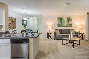 The Colony at Deerwood - Premium home features