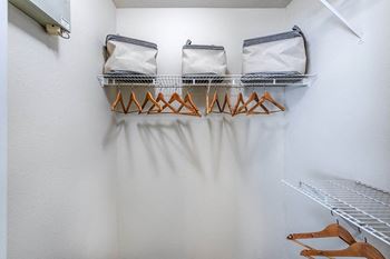 The Colony at Deerwood Apartments - Walk-in closets