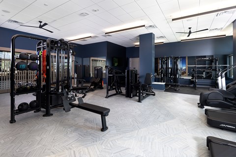 A spacious gym with a variety of equipment including a squat rack, bench, and weights.
