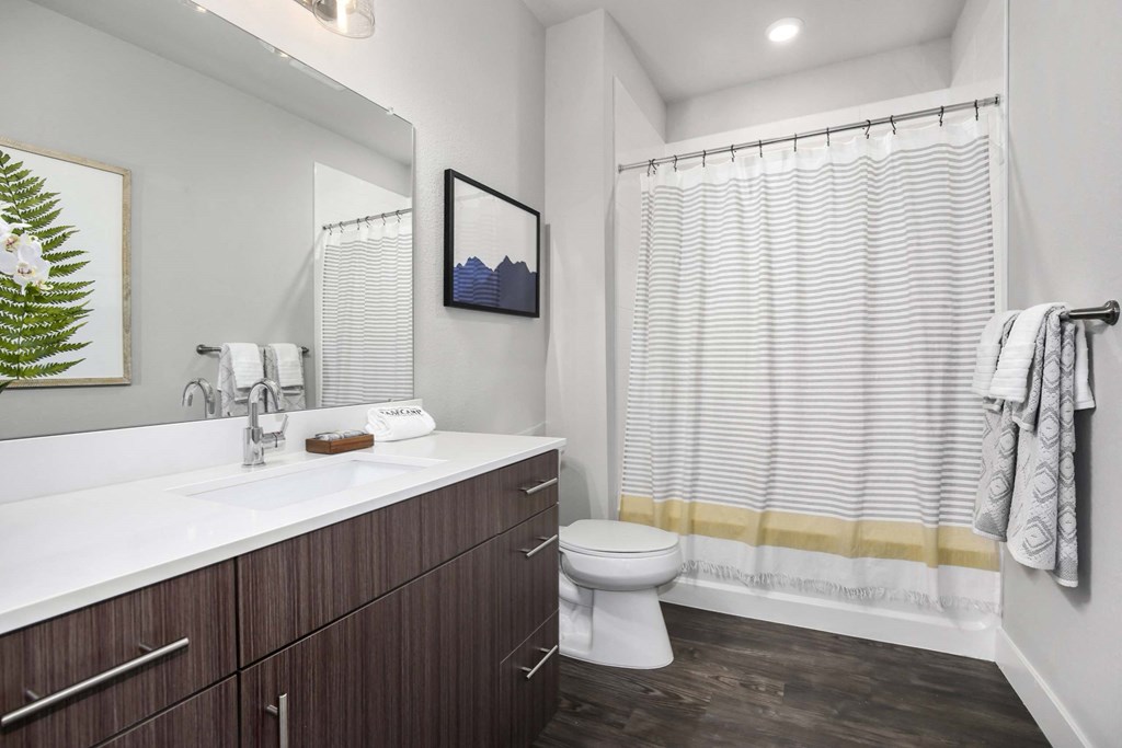 a bathroom with a sink and a toilet