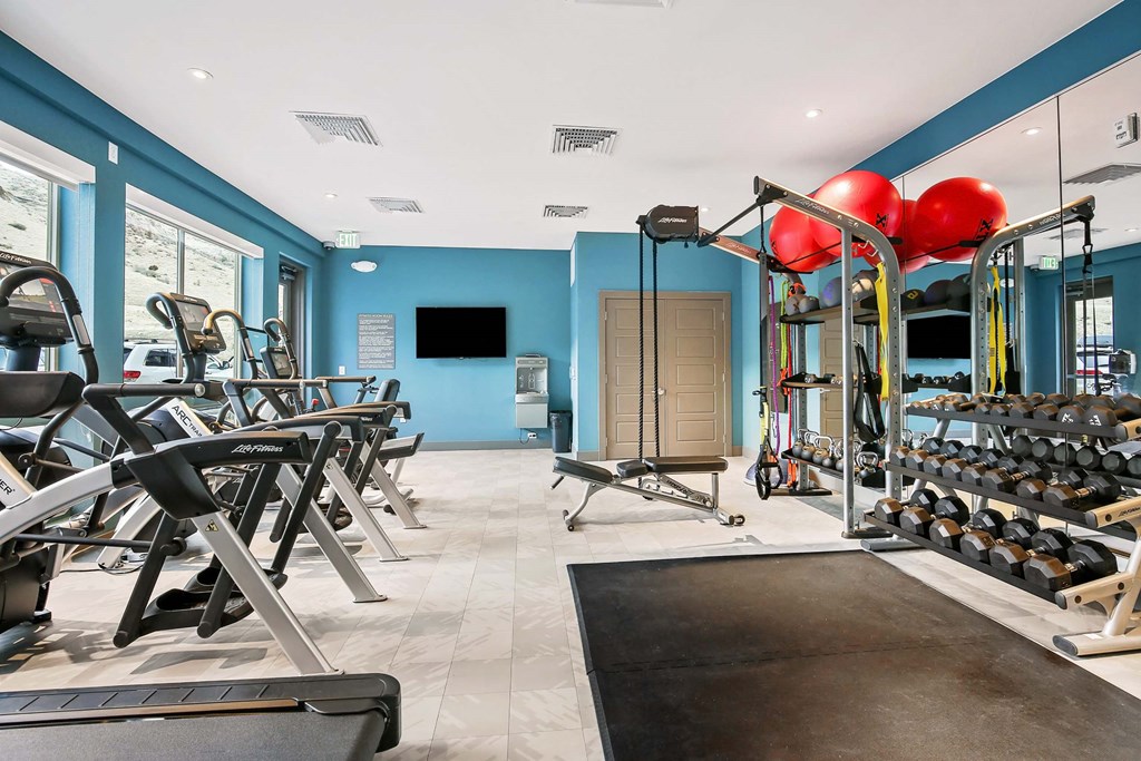 a gym with cardio equipment and dumbbells