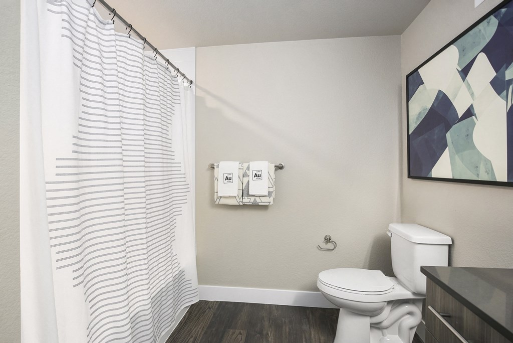 a bathroom with a white shower curtain and a toilet