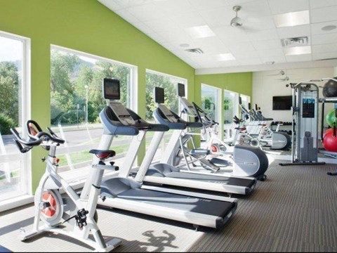 a row of exercise bikes in a gym with windows