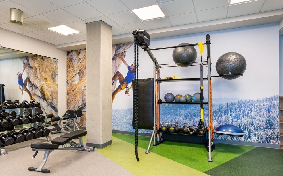 a workout room with weights and a wall mural of a mountain range