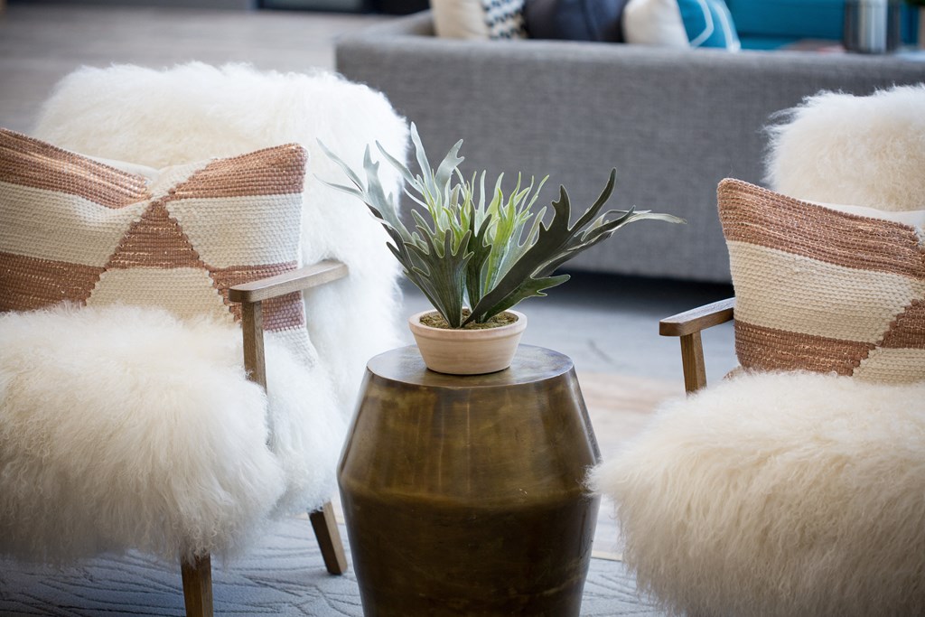 a living room with two chairs and a plant on a table