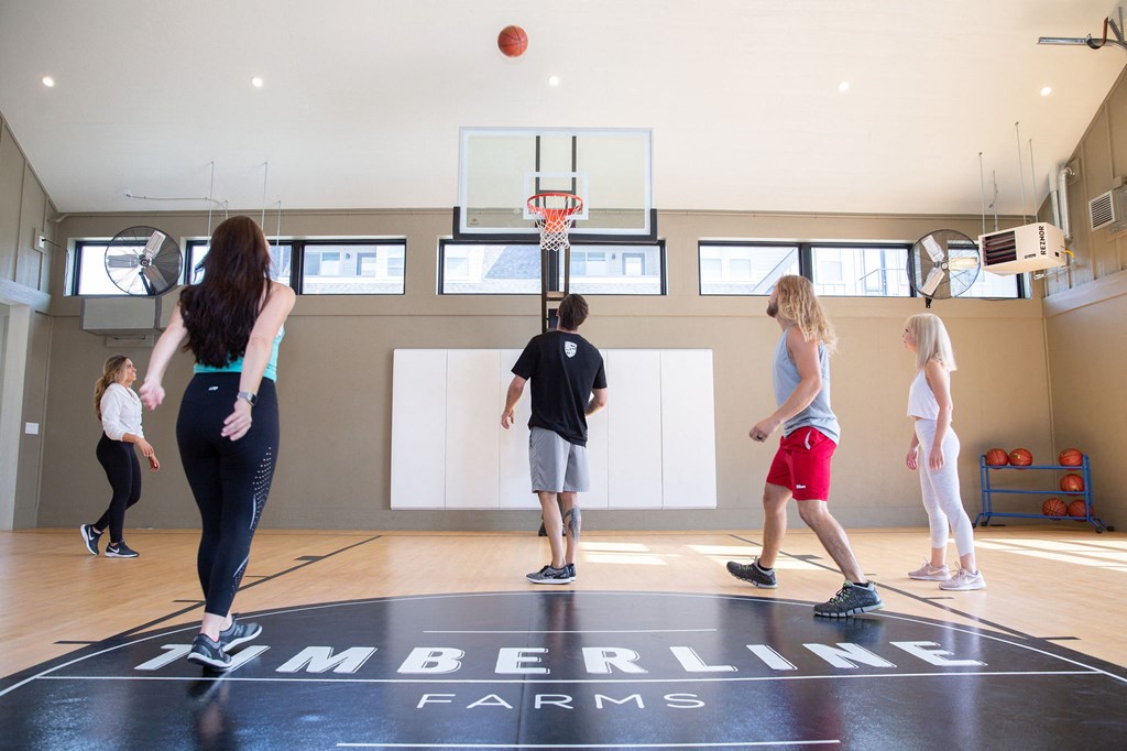 A group of people playing basketball in a gym.