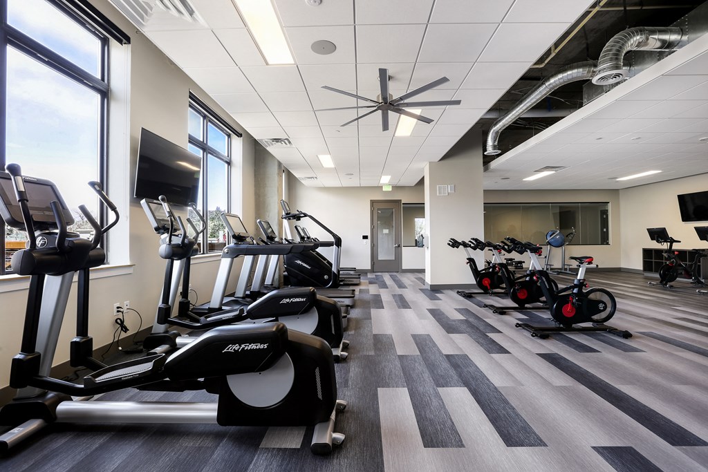 a gym with cardio equipment and weights on the floor