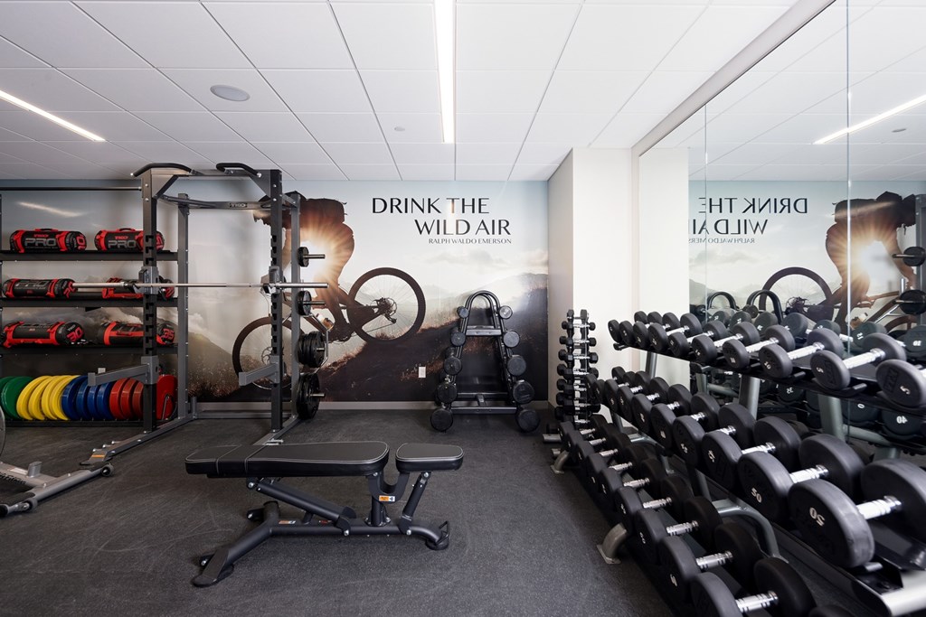A gym with a row of dumbbells on the right and a bench in the middle.