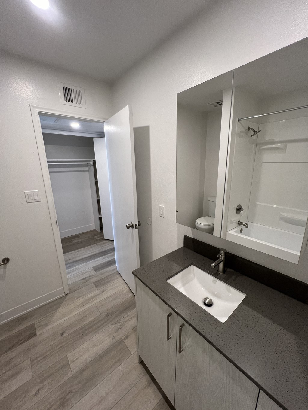 a bathroom with a sink and a mirror and a shower