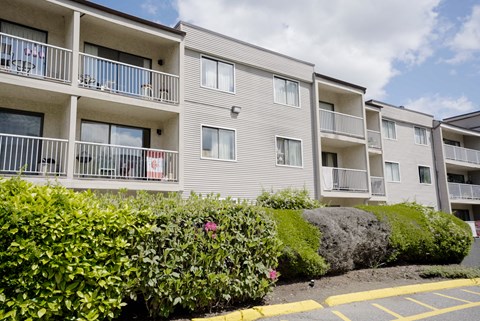 Apartment building with balconies and bushes in front.