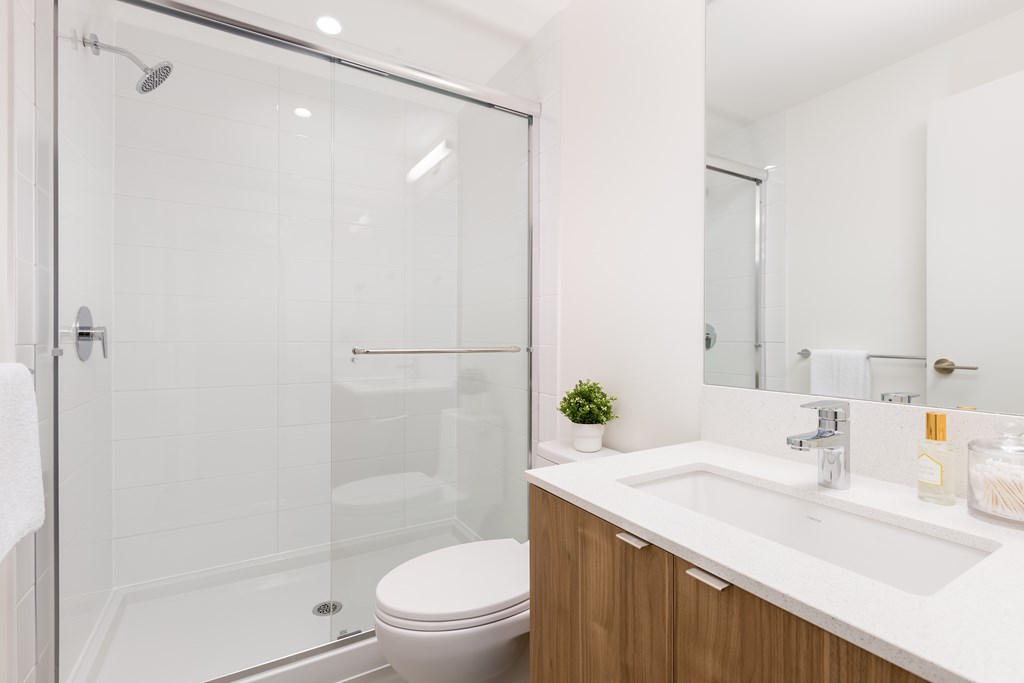 A white toilet sits next to a walk-in shower in a modern bathroom.