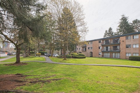 A tree in a grassy area in front of apartment buildings.