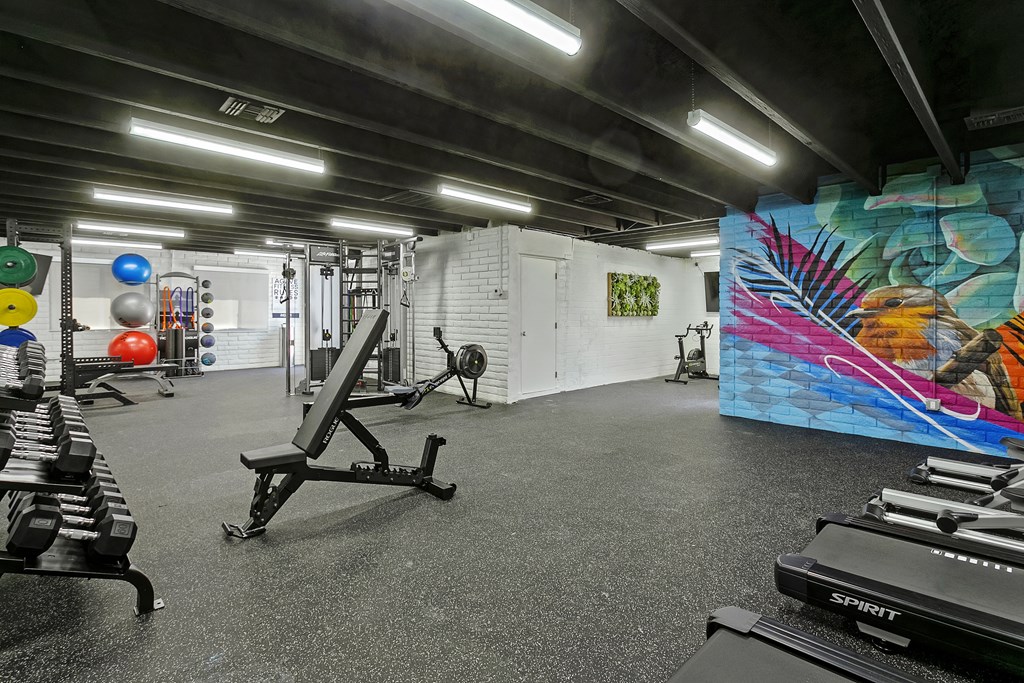 a large fitness room with weights and a wall with a mural of a bird