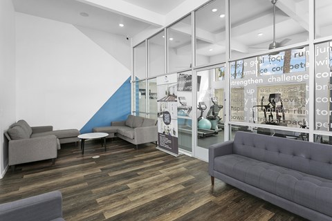 A modern living room with a grey couch and a blue accent wall.