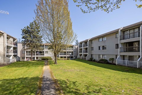 A tree in front of apartment buildings.