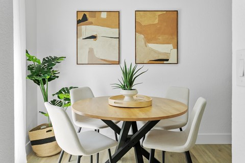 A dining table with chairs and a potted plant in a room.