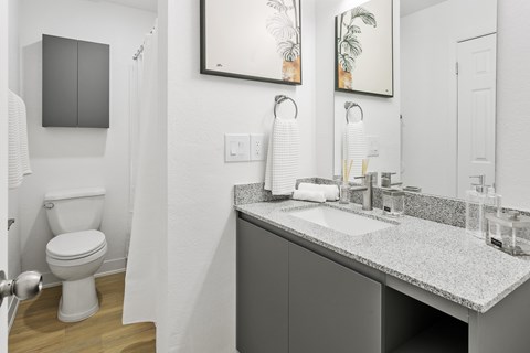 A bathroom with a toilet, sink, and mirror.