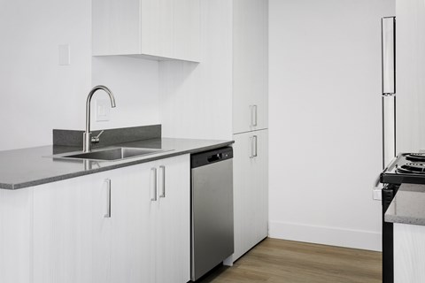 A modern kitchen with white cabinets and a stainless steel sink and dishwasher.