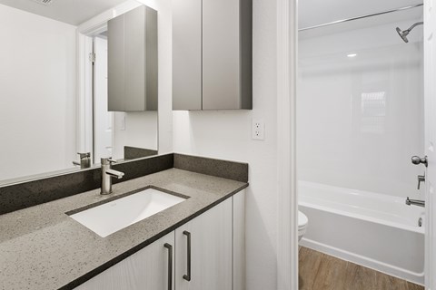 A bathroom with a sink, mirror, and bathtub.