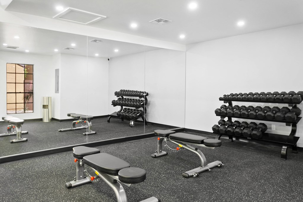 a fully equipped gym with weights and cardio equipment