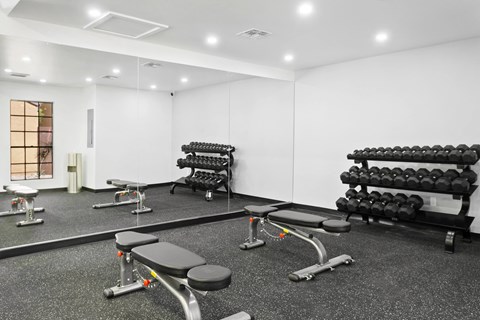 a fully equipped gym with weights and cardio equipment