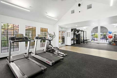 treadmills and elliptical