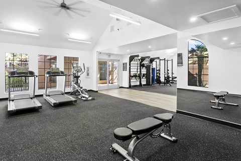 fully-equipped apartment gym