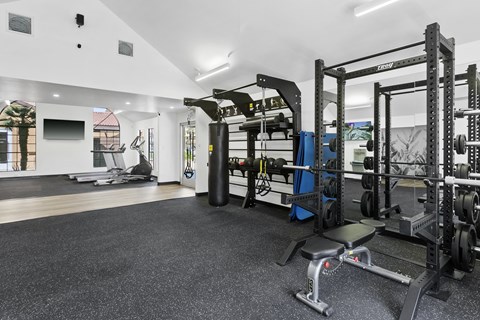 fitness center with trx system, bench press, and squat rack