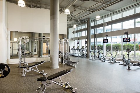 A gym with a variety of equipment including treadmills, weights, and exercise bikes.